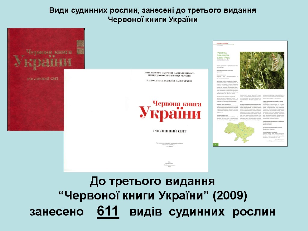 Види судинних рослин, занесені до третього видання Червоної книги України До третього видання “Червоної